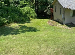 Antonio O.'s Grass Cutting service result