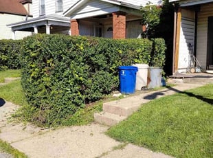 Bush Trimming by Marlon Hardman for Shelly H. in Pittsburgh, PA