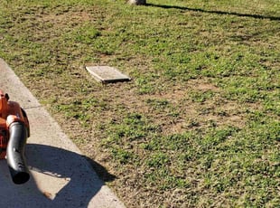 Cleanups by Tripler Dela Cruz for Star F. in Mesa, AZ