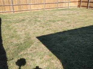 Mildred C.'s Yard Cutting service result