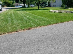 Amie B.'s Lawn Mowing service result