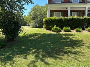 Talinda B.'s Yard Cutting service result