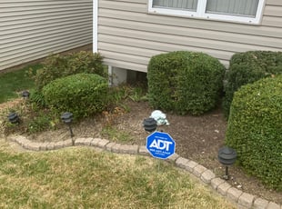 Bush Trimming by Amory Wyatt for Michelle Z. in Florissant, MO