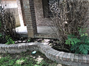 Cleanups by Juan Vazquez for Leonard O. in San Antonio, TX
