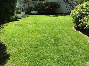 Teri S.'s Lawn Service service result