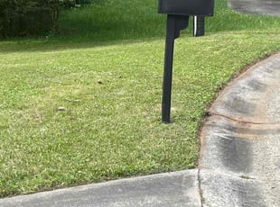 Matthew W.'s Lawn Maintenance service result