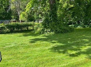 Karina D.'s Lawn Mowing service result