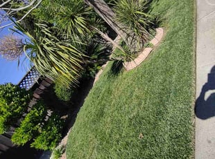 Russell M.'s Yard Cutting service result