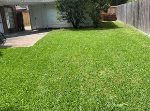 Ana C.'s Lawn Maintenance service result