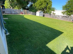 Angela J.'s Lawn Service service result