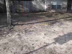 Leaf Removal by Andrew Chase for Daytrelle S. in Navarre, FL