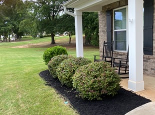 Bush Trimming by Fredrick thomason for Joe S. in Fountain Inn, SC