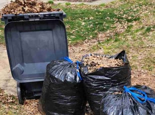 Leaf Removal by Andrew Cooperrider for Ben R. in Lexington, KY