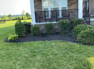Bush Trimming by Taylor Dodson for Ray . in Virginia Beach, VA