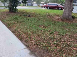 Cleanups by Coty Thomas for Megan H. in Zephyrhills, FL