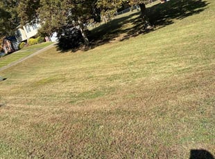 Karen C.'s Lawn Service service result
