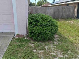 Jose M E.'s Bush Trimming service result