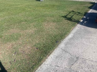 C L R.'s Lawn Mowing service result
