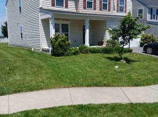 Jeanine E.'s Lawn Care service result