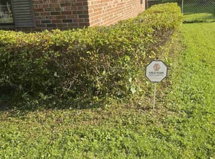 Bush Trimming by Jason Hughes for James S. in Pooler, GA