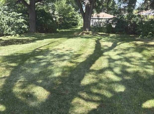 Nancy C.'s Lawn Care service result