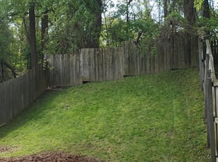 Cleanups by Dexter Burns for Cabrina M. in Pikesville, MD