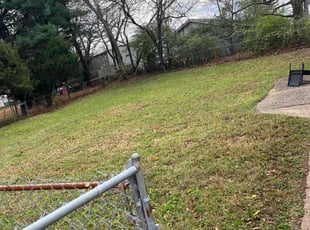 Leaf Removal by Kasandra Velasco for Brandy C. in Louisville, KY