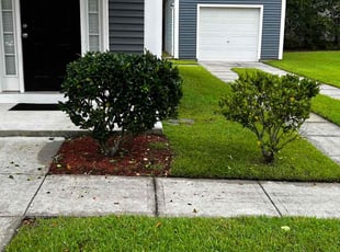 Bush Trimming by Brian Stephenson for David D. in Summerville, SC