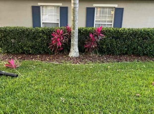 Bush Trimming by Terry Lampo for DJ M. in Clermont, FL