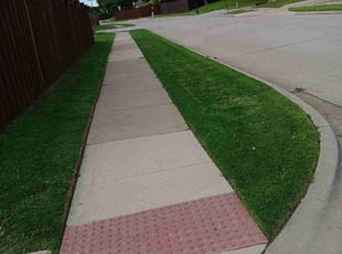 Barbara R.'s Yard Cutting service result