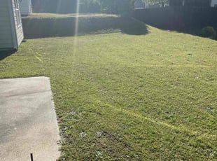 SaBritney D.'s Lawn Service service result