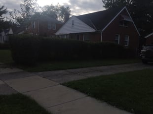 Bush Trimming by Anthony Coleman for Andrea M. in Bedford, OH