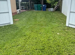 Shawn A.'s Lawn Service service result