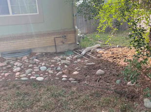 Leaf Removal by Joshua Hines for Christopher S. in Aurora, CO
