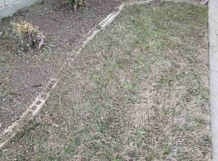 Weeding by Troy delamar for Diana R. in Arlington, TX