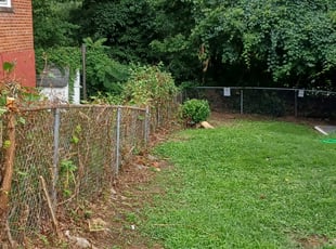 Bush Trimming by Jose Paz for Selome H. in Washington, DC