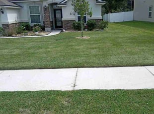 Laura M.'s Grass Cutting service result