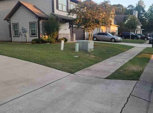 Paul L.'s Lawn Mowing service result
