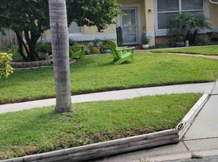 Shanai R.'s Lawn Mowing service result