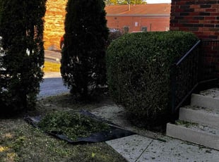 Bush Trimming by Daniel Bunch for Akeem T. in Columbus, OH