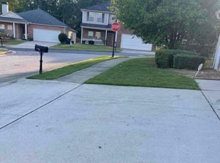 Bush Trimming by Amber Wright for Mercedes M. in Stockbridge, GA