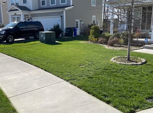 Cleanups by Brandon Steward for Karina C. in Suffolk, VA