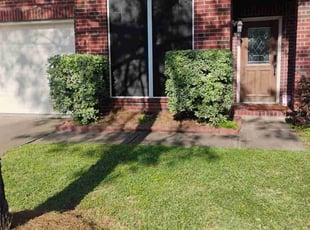 Bush Trimming by Yanet Maciel for Lacey B. in Pearland, TX