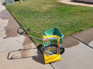 Weeding by Raul Blanco for Gail H. in Gilbert, AZ