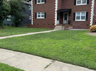 Allesia P.'s Lawn Care service result