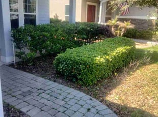 Bush Trimming by Robert Williams for Sarah W. in Saint Johns, FL