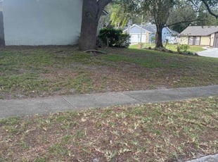 Leaf Removal by Luis Ramos for David L. in Casselberry, FL