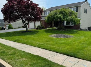 Kathleen T.'s Yard Cutting service result