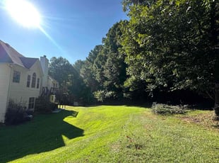Eric C.'s Yard Cutting service result
