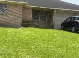 Robert W.'s Lawn Maintenance service result